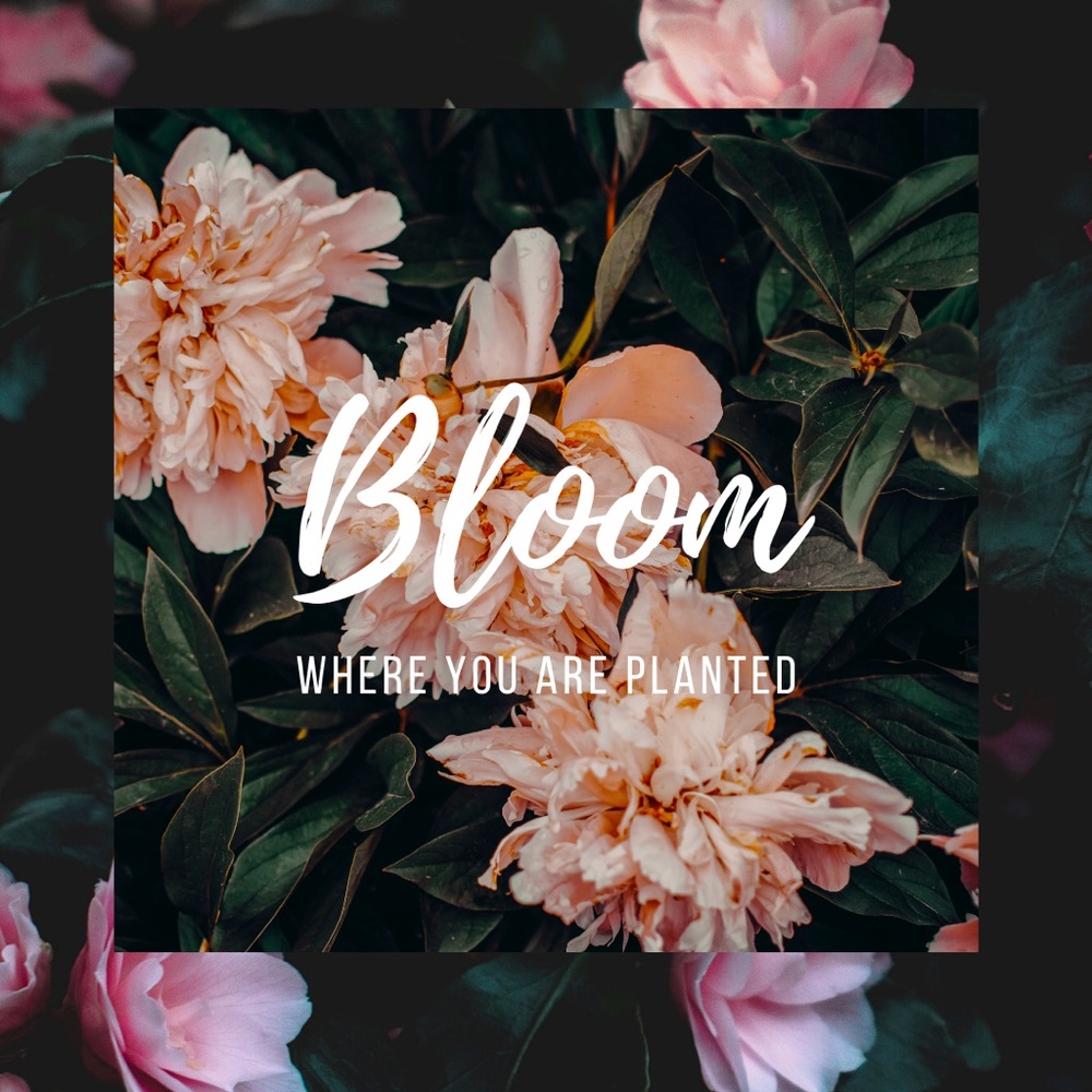 Thrive where you are!